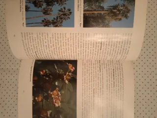 El parque de María Luisa su historia, su poesía...