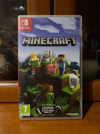 Minecraft Nintendo Switch