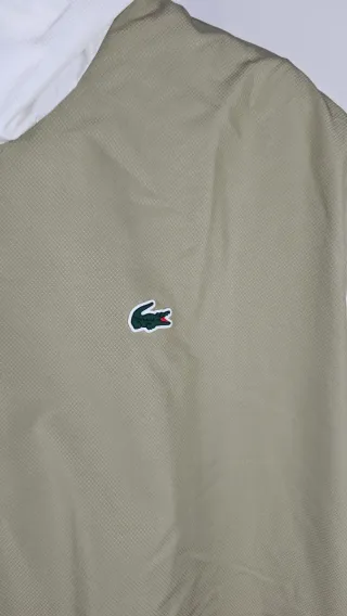 Felpa Tech Lacoste Verde e Bianca