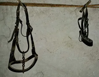 Brida antigua / cabezada de caballo con bocado