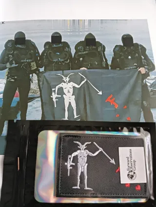 Parche militar Forward Observation Group