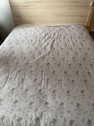 Funda nórdica y 2 cojines