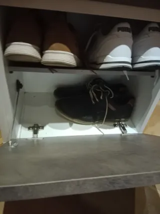 Zapatero 3 compartimentos