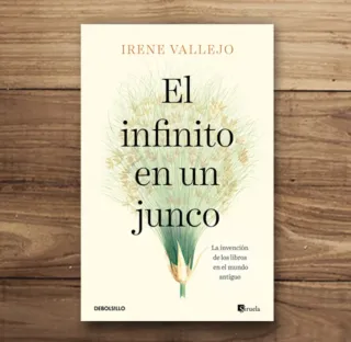 Libro El infinito en un junco Irene Vallejo