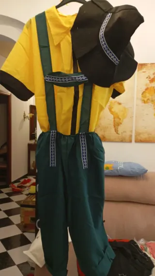 Lote Disfraces Carnaval