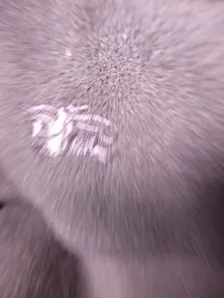 Abrigo Lana Merino Burberry azul marino