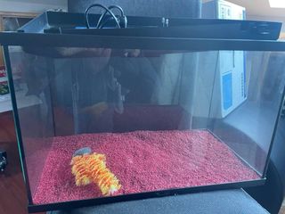 Acuario Start 55 con LED y Filtro BIOBOX