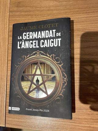 La germandat de l'àngel caigut