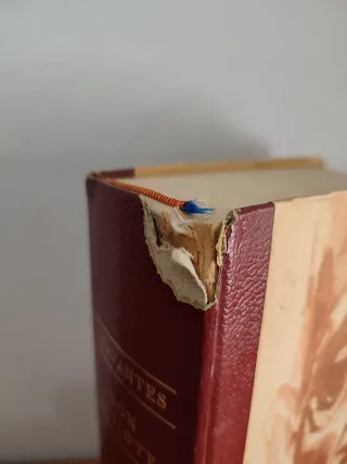 Cervantes Don Quijote