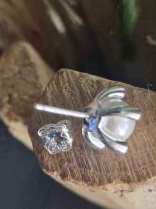 Pendientes plata s925