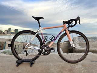 Bicicleta Standert Kreissäge