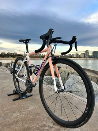 Bicicleta Standert Kreissäge