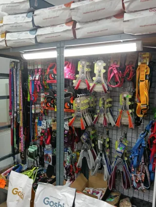 Peluquería canina con tienda