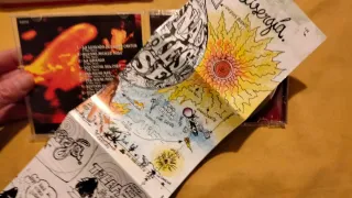 CD Buenas Noches Rose