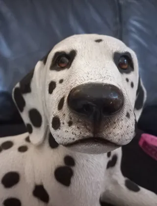 Cane dalmata in resina