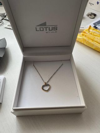 Pendientes,colgantes varios