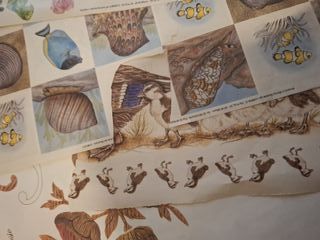 14 fogli carta per decoupage 29x43 cm