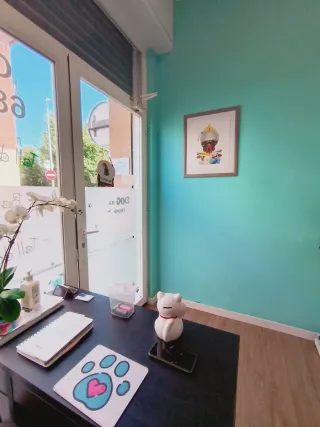 Traspaso Peluquería Canina