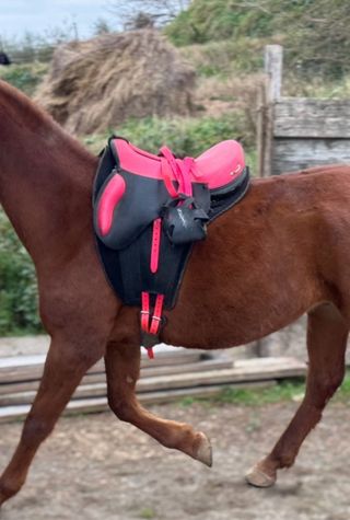 Sottosella Setzi Blu endurance