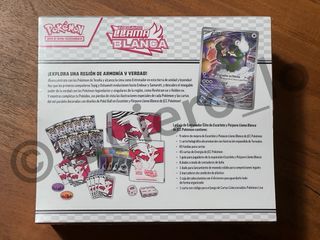 Caja Entrenador Élite Llama Blanca Pokémon