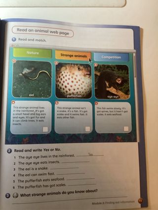 Pack 3 libros de Inglés – 3º de Primaria (Macmilla