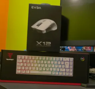 Teclado y Ratón Gaming EVGA X12 Tempest