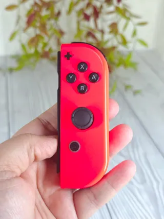 Mandos rojos y azul Nintendo switch