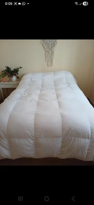 Relleno nórdico plumón oca Ferdown 100% natural