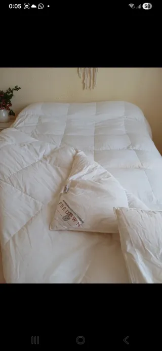 Relleno nórdico plumón oca Ferdown 100% natural