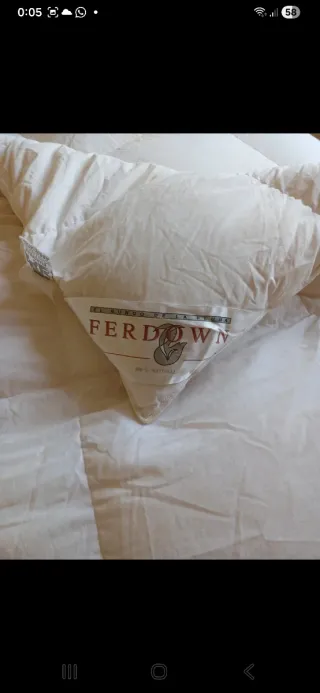 Relleno nórdico plumón oca Ferdown 100% natural