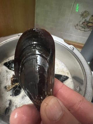 Accessorio Bimby TM5/TM6/TM7 Pelapatate e Cozze