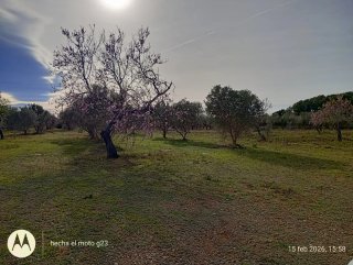 Parcela con caseta