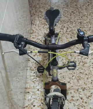 Bicicleta infantil morada