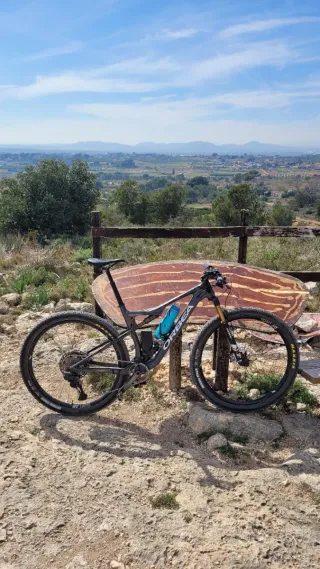 Orbea Oiz M-Team (talla L)