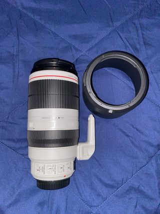 Canon EF 100-400L IS II USM