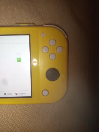 Nintendo Switch Lite+ Juego