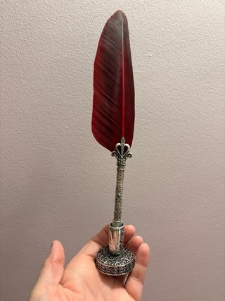 Pluma de Inmersión Roja con Accesorios.