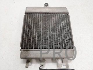 Radiador Agua Suzuki Burgman