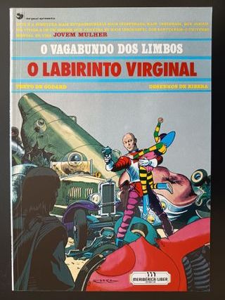 Vagabundo dos Limbos - O Labirinto Virginal