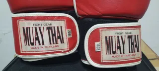 Guantes Boxeo Fairtex & Muay Thai
