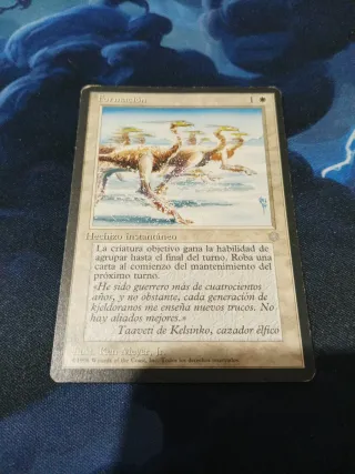 Lote Cartas MTG Antiguas Originales