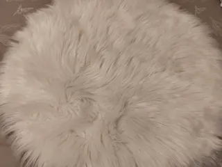 Alfombra redonda de lana blanca