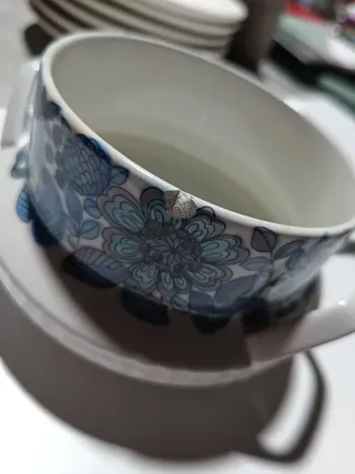 Sopera Pontesa porcelana flores azules