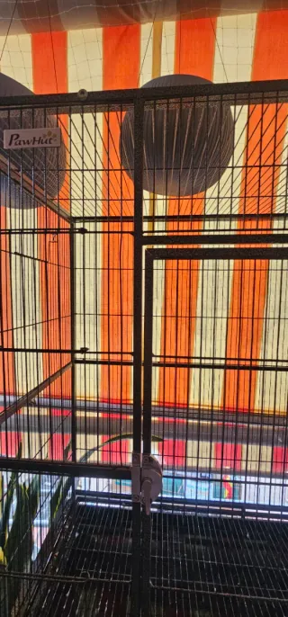 Jaula para pájaros negra