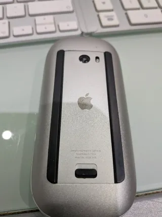 Teclado y Ratón Apple Plata/Blanco