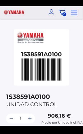 CDI Yamaha Raptor 700