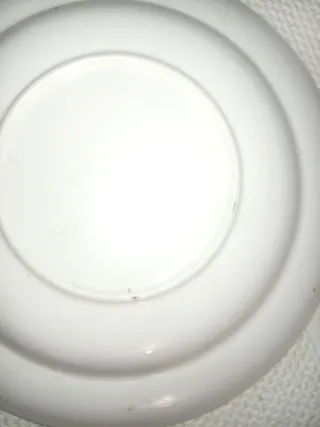 Plato antiguo decorado