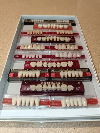 Lote tablillas de dientes para prótesis