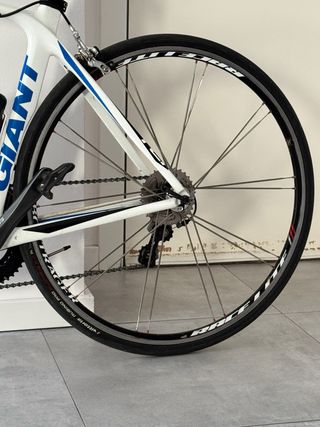 Bicicleta Carretera Giant Carbono M-52