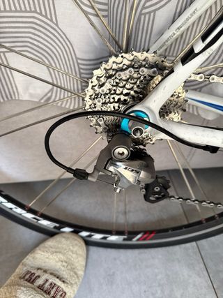 Bicicleta Carretera Giant Carbono M-52